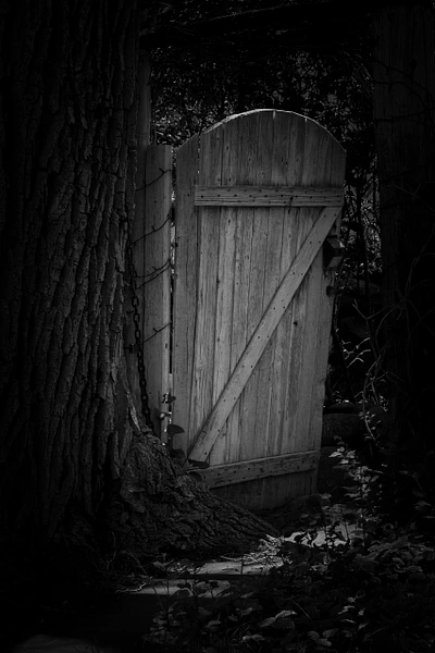 Barbara Altevers Photography